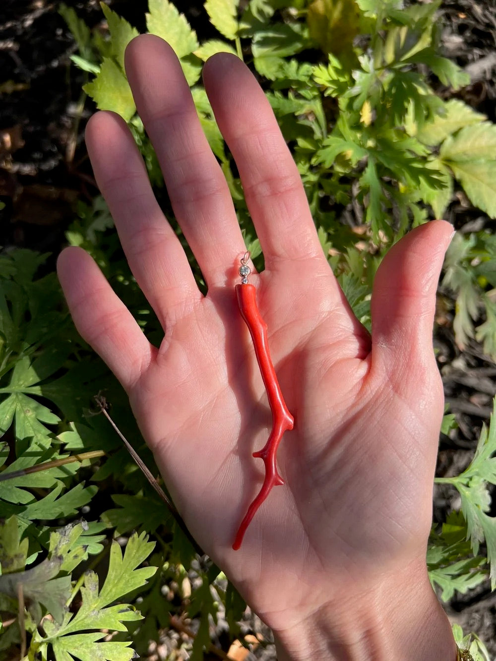 Hand holding a small red object against a natural background