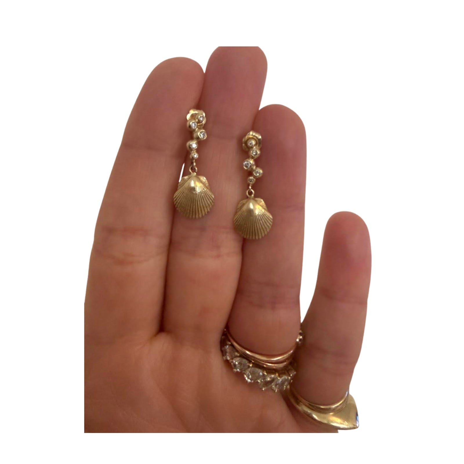 Shell Earrings