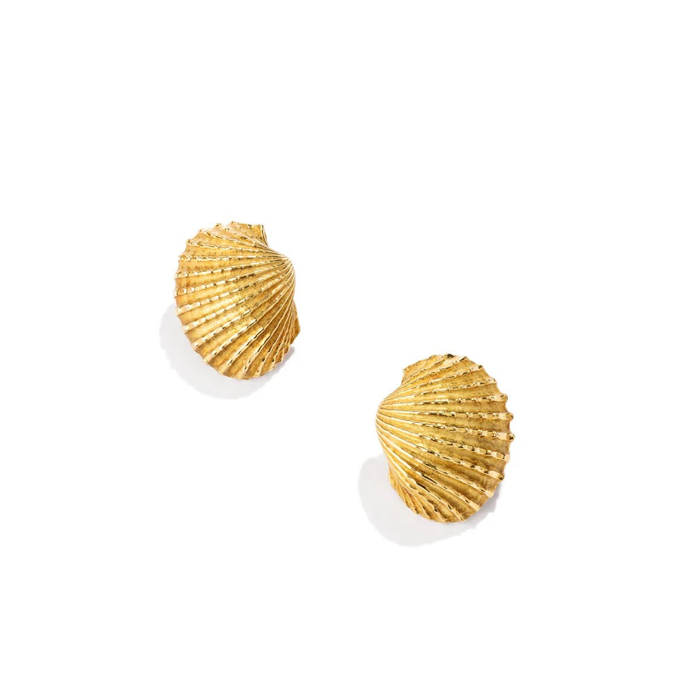 18K yellow gold Conchiglia shell earrings