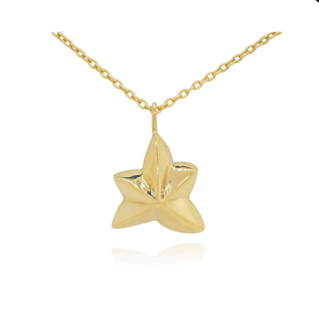 Gold star-shaped pendant on a gold chain against a white background